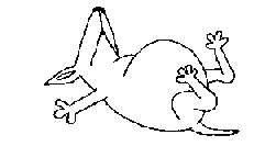 Rolling over - Playing dead dog